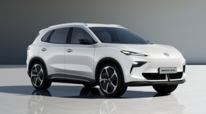 mgs5ev